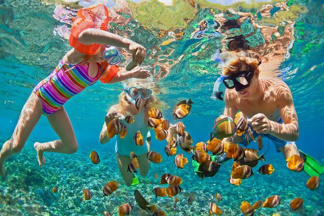 50' Luxury Yacht. Private Full or Half Day Catamaran Snorkel, & Beach Experience - A 50 Catamaran That Feels Spacious, Not Stuffed