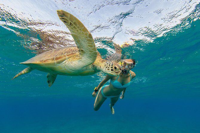 50' Luxury Yacht. Private Full or Half Day Catamaran Snorkel, & Beach Experience - Snorkeling, Sea Life, and What to Expect Underwater