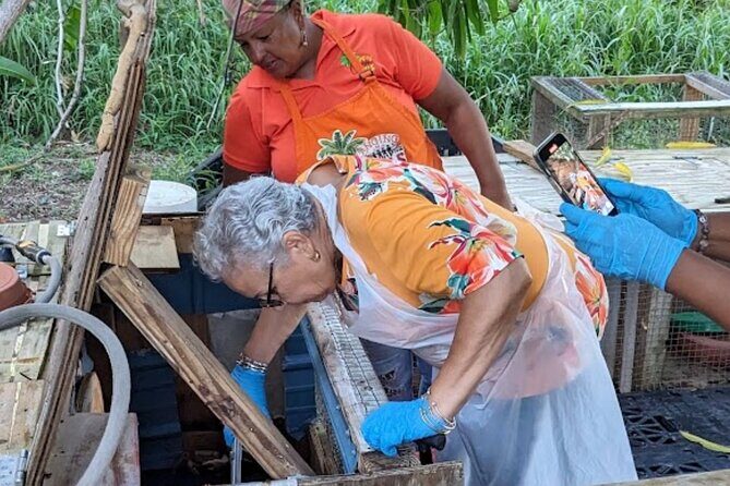 A Evening Cultural Experience Through Food Cooking Class St. Croix - Christiansted Start Time: When the Evening Begins