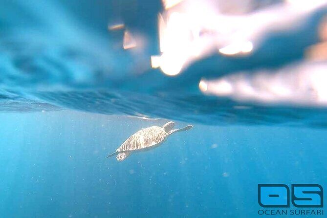 Afternoon Snorkel, Pizza & Sunset Tour departing from St. Thomas & St. John - The boat ride and vibe: what the afternoon feels like