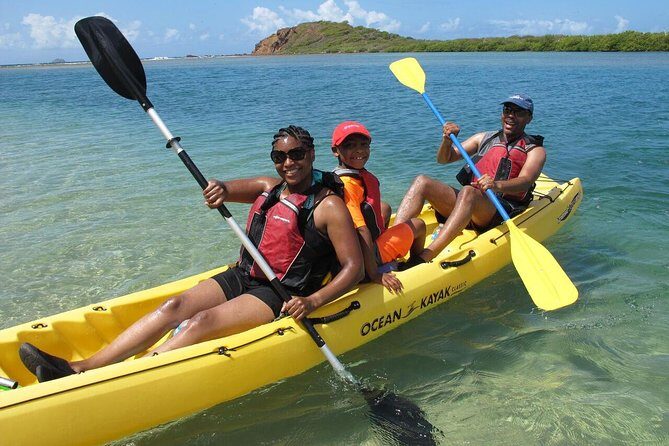 Best of Mangrove Lagoon Kayak, Hike and Snorkel Adventure with Picnic Lunch - Key Highlights Worth Your Time