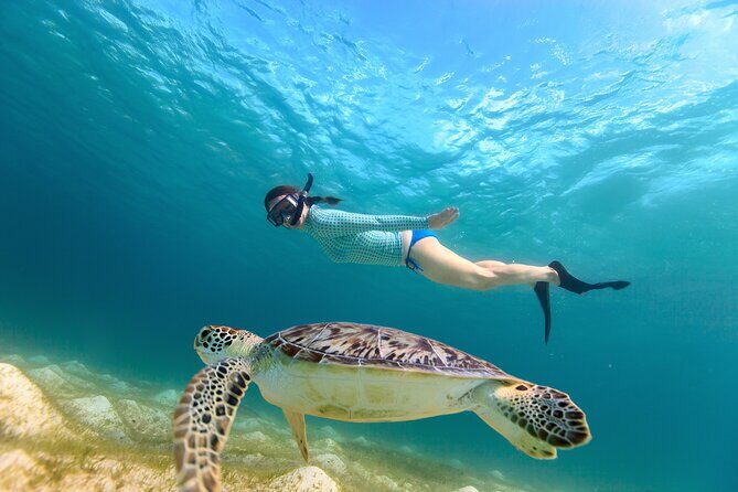 Best of Mangrove Lagoon Kayak, Hike and Snorkel Adventure with Picnic Lunch - Mangrove Kayaking Through Narrow Waterways in St Thomas