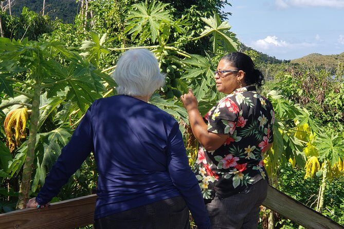 Book Your Private Two and a Half Hour Island Tour today! - Stop-by-stop: what you’ll actually see and why it matters