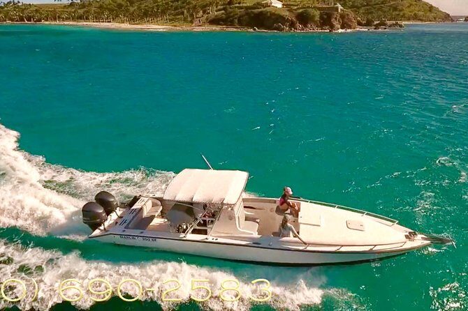 Caribbean Blue Charters - Full Day Boat Charter - 35' Marlin Power Boat - Snorkeling and sea life: what you can actually hope to see