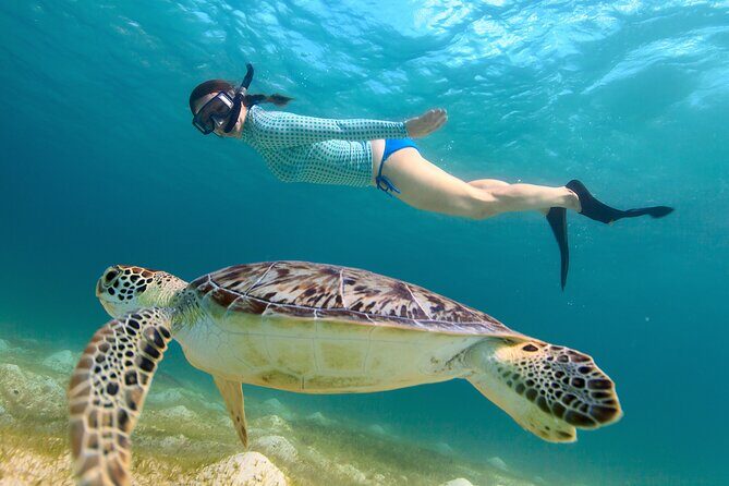 Cas Cay - Kayak Hike and Snorkel Adventure - Cas Cay hike: tidal pools, volcanic cliffs, and a blowhole moment