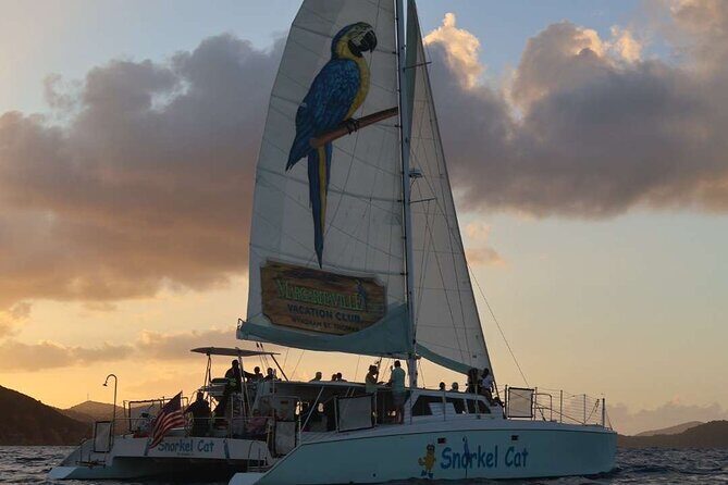 Champagne Sunset Sail from Margaritaville - The Catamaran Vibe: Clean Boat, Attentive Crew, Real Fun Energy