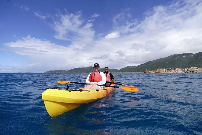 Coral Reef and Turtle Discovery Tour - Price and value: is $159 a good deal?