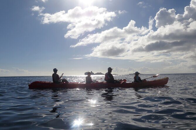Coral Reef and Turtle Discovery Tour - Stop 1: kayaking over clear water, then a healthy coral reef snorkel