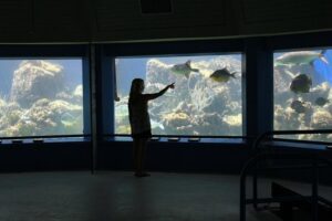 Coral World Ocean Park General Admission Ticket - Entering the Park: How to Use the 45-Minute Guided Tour