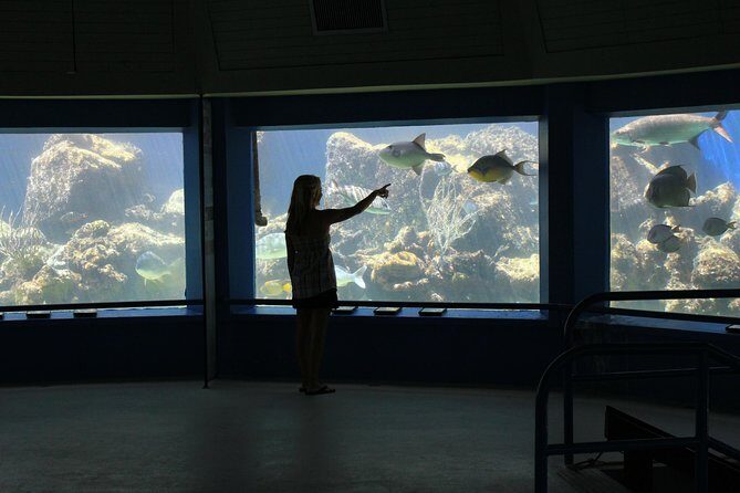 Coral World Ocean Park General Admission Ticket - Entering the Park: How to Use the 45-Minute Guided Tour