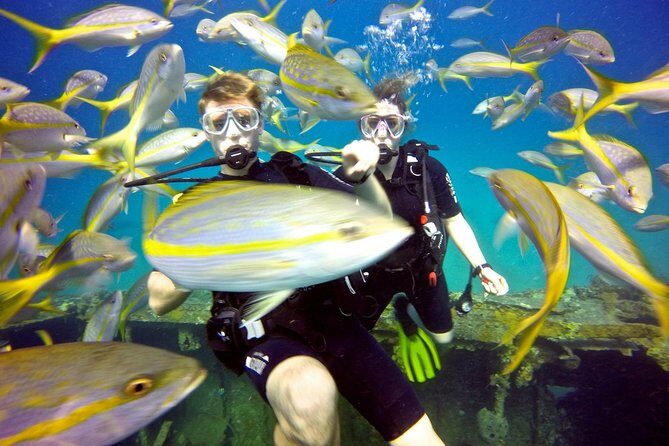 Discover Scuba Diving with No Certification in St Thomas - Quick Facts That Help You Decide Fast