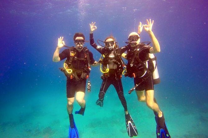 Discover Scuba Diving with No Certification in St Thomas - Meeting at Saga Haven Marina and Getting Your Gear Under Control