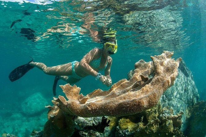 Discover The Baths of Virgin Gorda Full Day Adventure - Westin St. John - Breakfast, lunch, and the open bar: food timing you can actually use