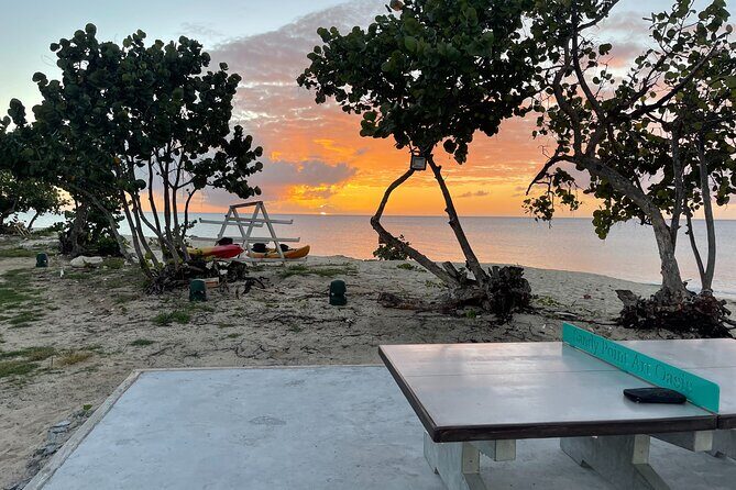 Frederiksted Moke Tour - A Few Practical Tips So You Don’t Overthink It