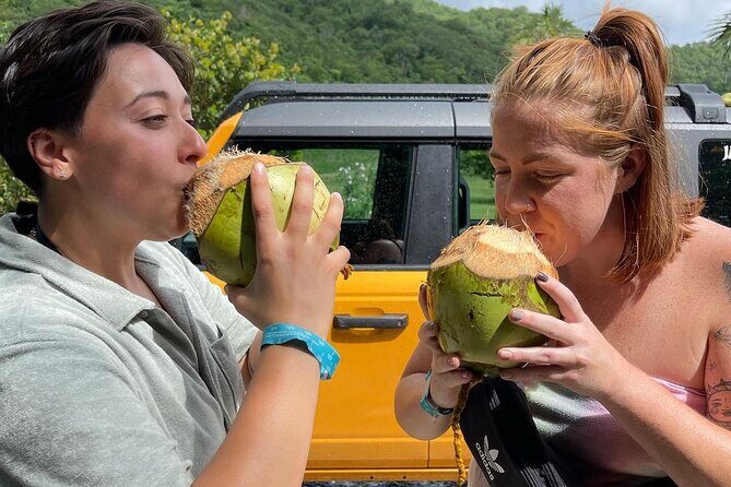 Full Day Cultural Jeep Beach Tour, St. Thomas & Water Island - Key Highlights I’d Prioritize