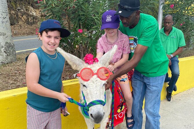 Full Day Cultural Jeep Beach Tour, St. Thomas & Water Island - Price and Value: How $630 Per Group Can Work