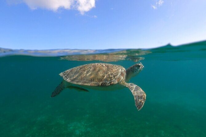 Full-Day Private Boat Charter from St. John or St. Thomas - BYOB, cooler comfort, and how to pack for a 6-hour water day