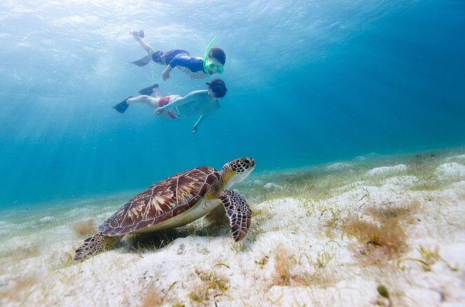 Full or Half Day Private Power Catamaran- USVI Beach and Snorkel - Drinks and lunch: the fun part that’s actually practical