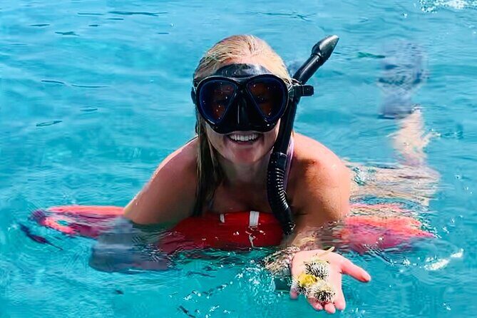 Half Day Luxury Catamaran Turtle Snorkel And Beach - Key Highlights at a Glance