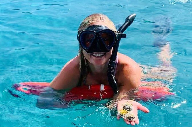 Half Day Luxury Catamaran Turtle Snorkel And Beach - Turtle Cove and Buck Island National Wildlife Refuge: How the Snorkel Part Works