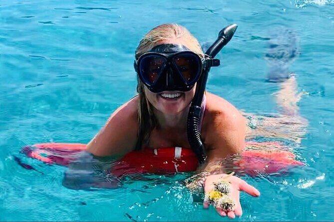 Half Day Luxury Catamaran Turtle Snorkel And Beach - Price and Value: What You’re Really Paying For