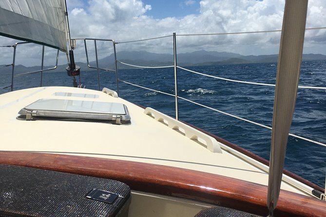 Half Day Sail and Snorkel with the Turtles - Quick hits before you sail