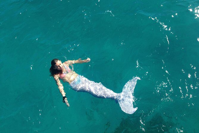 Half Day Sail and Snorkel with the Turtles - Logistics you should know before you commit