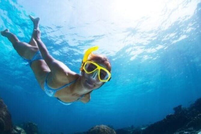 Half Day Snorkeling Tour from Margaritaville - Quick reasons I’d pick this St. Thomas half-day snorkel