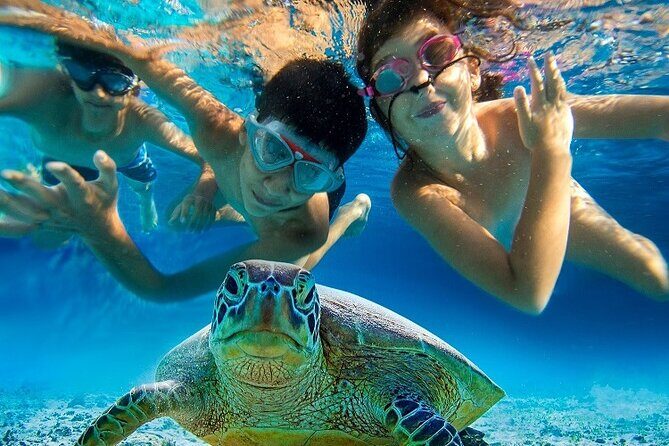 Half Day Snorkeling Tour from Margaritaville - Snorkeling snacks and unlimited drinks: the onboard part matters