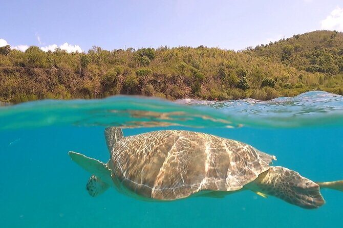 Half or Full-Day Private Boat Charter from St. John or St. Thomas - Key reasons this charter works so well