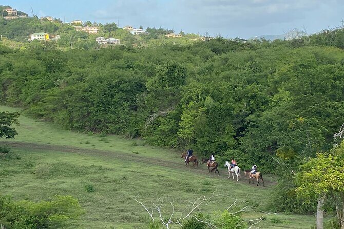 Horseback Riding Experience - Meeting at 72 Estate River: Plan Your Arrival Like a Pro