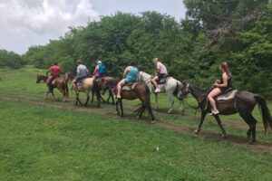 Horseback Riding Experience - Before You Mount: Helmets, Lessons, and First-Time Comfort