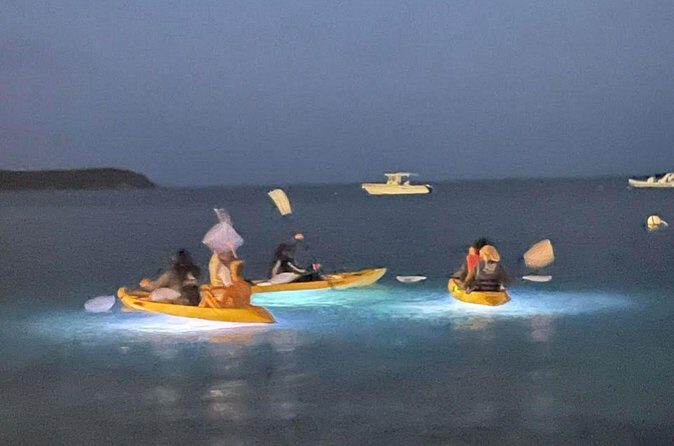 Illuminated Night Kayaking at the Elysian Resort - Who This Tour Suits Best (and Who Should Ask Questions)
