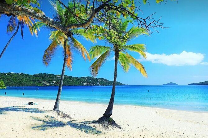 Island Buggy Excursions - Brewer’s Bay: sea turtles, a quick walk, and real beach time