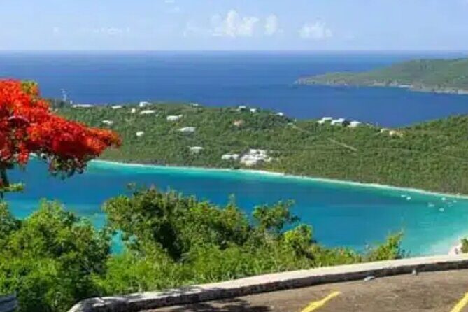 Island Buggy Excursions - Price and value: what $499 gets you (and why it can be a smart use of time)