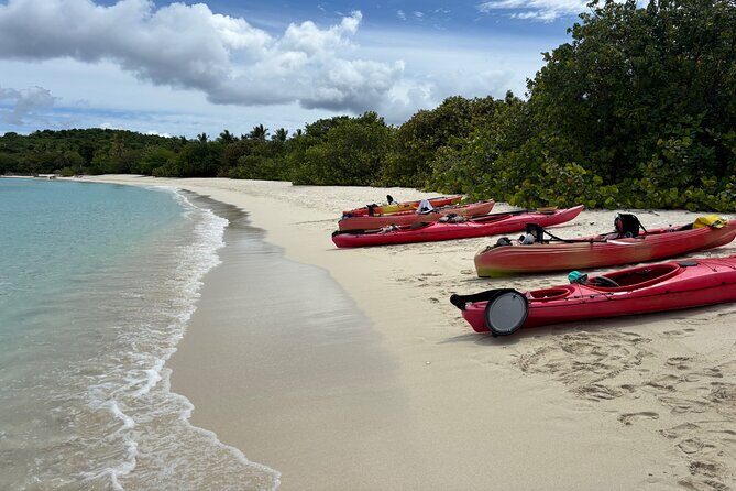 Kayak & Snorkel with Sea Turtles, National Park, St. John - Guide Style Makes or Breaks This Kind of Day