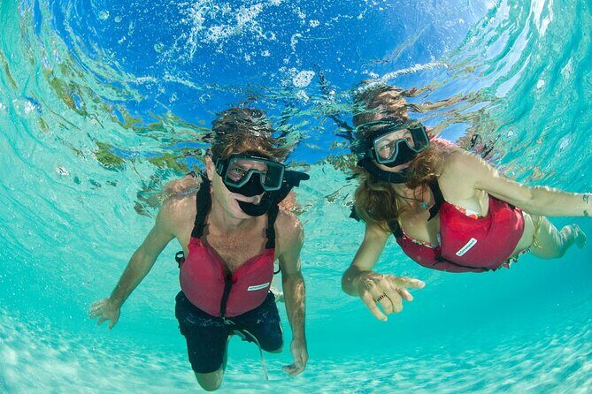 Kayak & Snorkel with Sea Turtles, National Park, St. John - Turtle Point Hike: Shade, Views, and Plant-Spotting