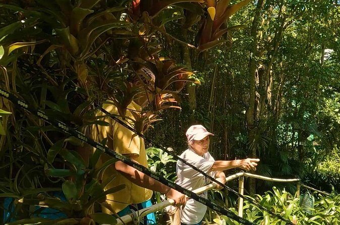 Luxury Private Tour in ST.Thomas(6per group) - Picking your hours: how the 1 to 6 hour format saves your schedule