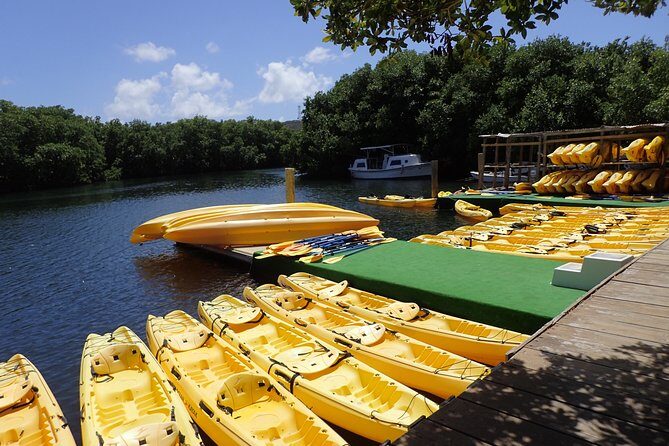 Mangrove Lagoon Kayak Rental in St Thomas - Mangrove Lagoon kayak rental: why this St Thomas day feels different