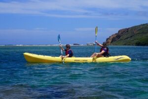 Mangrove Lagoon Kayak Rental in St Thomas - Price and value: what $69 gets you (and what it doesn’t)
