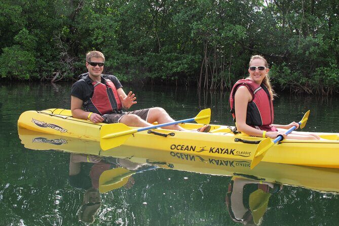 Mangrove Lagoon Kayak Rental in St Thomas - Getting there: Mariendahl Road in Nadir and what check-in feels like