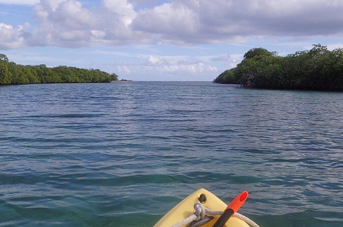 Mangrove Lagoon Kayak Rental in St Thomas - Paddling through mangrove “tunnels” and shallow channels