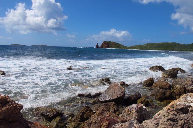 Mangrove Lagoon Kayak Rental in St Thomas - Snorkeling in the mangroves: when the water turns into a living aquarium
