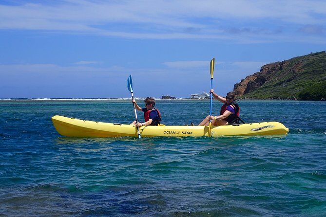 Mangrove Lagoon Kayak Rental in St Thomas - Price and value: what $69 gets you (and what it doesn’t)