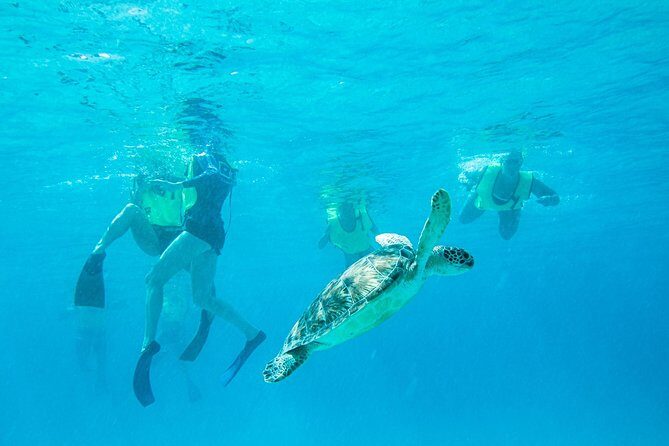 National Park Snorkeling Excursion - Key things to know before you go