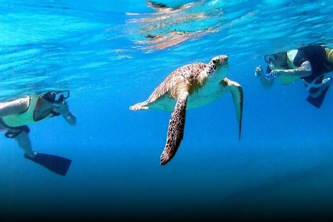 National Park Snorkeling Excursion - Two snorkel stops in the Virgin Islands National Park: how the day flows