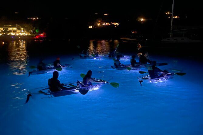 Night Kayak Tour St. John - Westin Resort - Key points