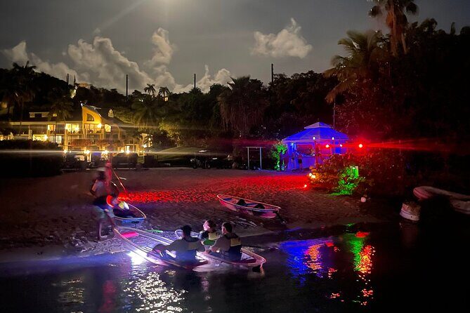 Night Kayak Tour St. John - Westin Resort - Who This Night Kayak Tour Is Best For in Your St. John Plan