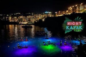 Night Kayak Tour St. Thomas - Westin Frenchman's Reef - What You’re Really Hunting For: Nocturnal Marine Life on LED Lights