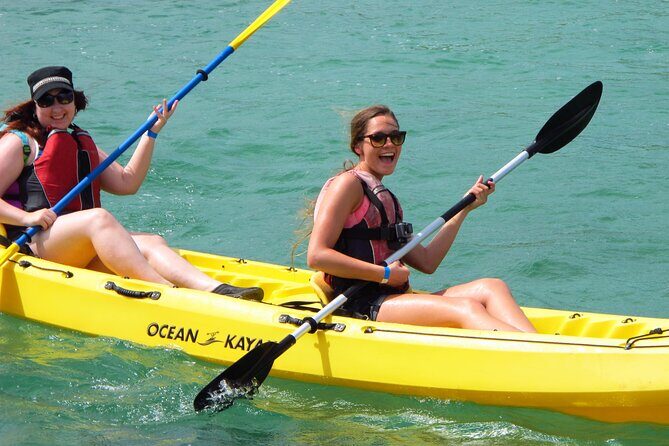 On Your Own: Kayak in the Mangrove Lagoon - Key highlights worth planning for